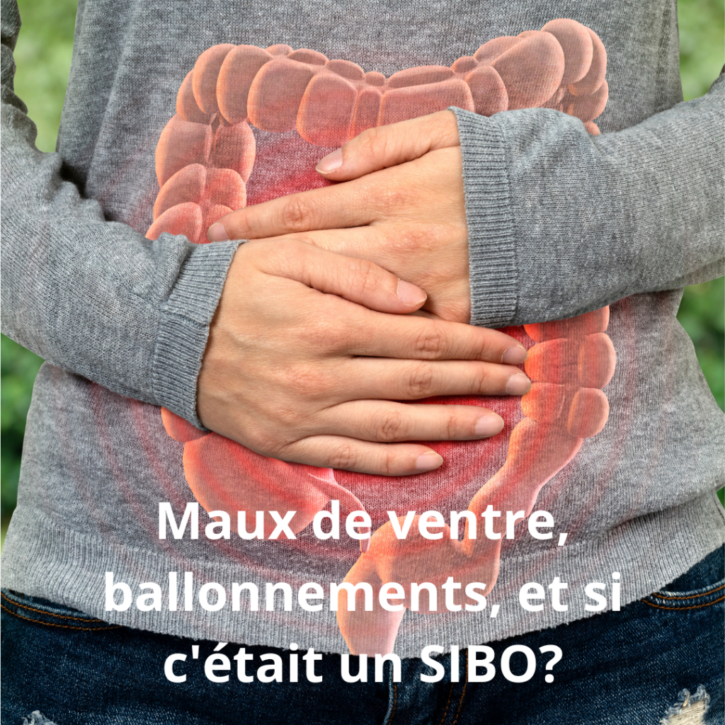 SIBO ou Small Intestinal Bacterial Overgroth
